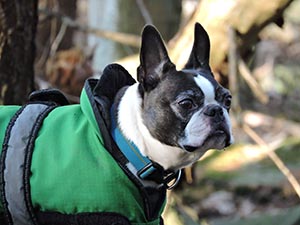 January 2017 Photo 23